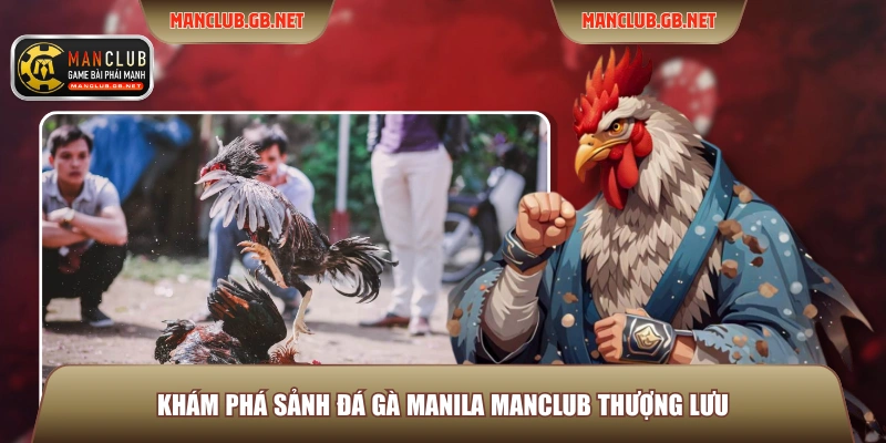 Đá Gà Manila ManClub – Trải Nghiệm Đấu Trường Chuẩn Quốc Tế 2 Khám phá sảnh Đá gà Manila Manclub thượng lưu