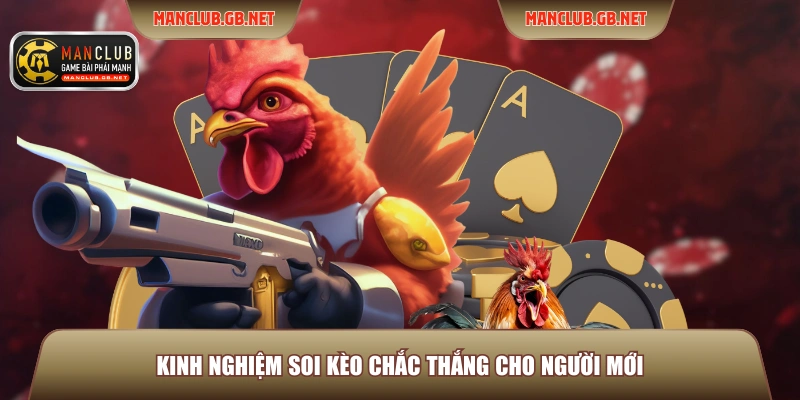 Kèo Đá Gà Hot ManClub – Top 3 Thể Loại Kèo Được Ưa Chuộng 4 Kinh nghiệm soi kèo chắc thắng cho người mới