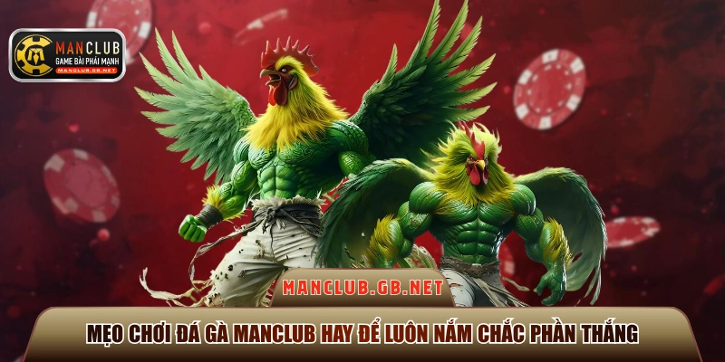 mẹo chơi đá gà Manclub