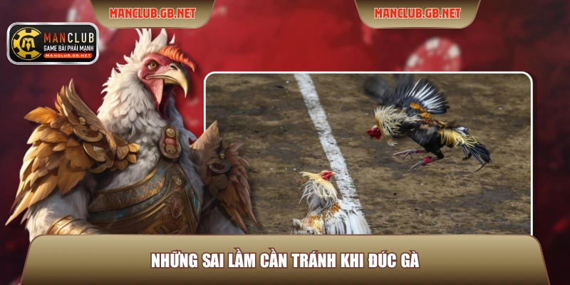 Những sai lầm cần tránh khi đúc gà