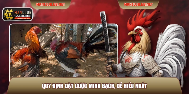 Đá Gà Manila ManClub – Trải Nghiệm Đấu Trường Chuẩn Quốc Tế 3 Quy định đặt cược minh bạch, dễ hiểu nhất