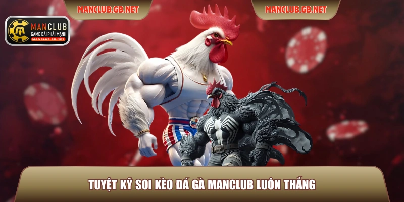 Soi Kèo Đá Gà Manclub Hiệu Quả Theo Kinh Nghiệm Dân Pro 3 Tuyệt kỹ soi kèo đá gà Manclub luôn thắng