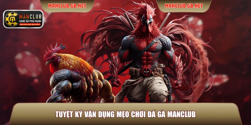 Tuyệt kỹ vận dụng mẹo chơi đá gà Manclub